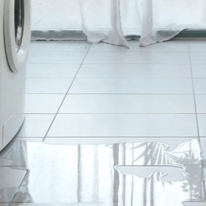 Appliance Leak Cleanup in Sheridan County, KS