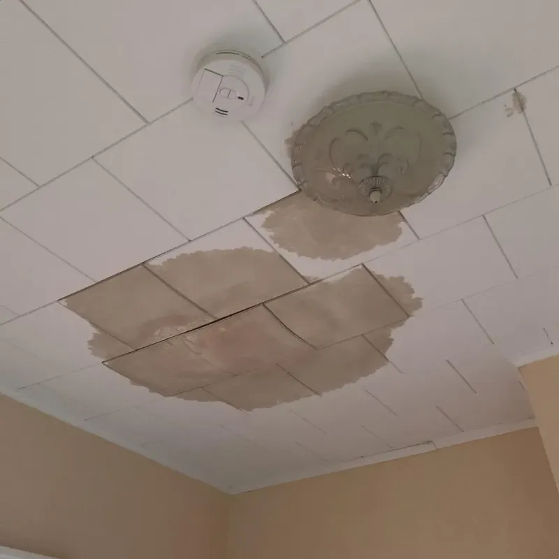Ceiling Water Damage Repair in Sheridan County, KS