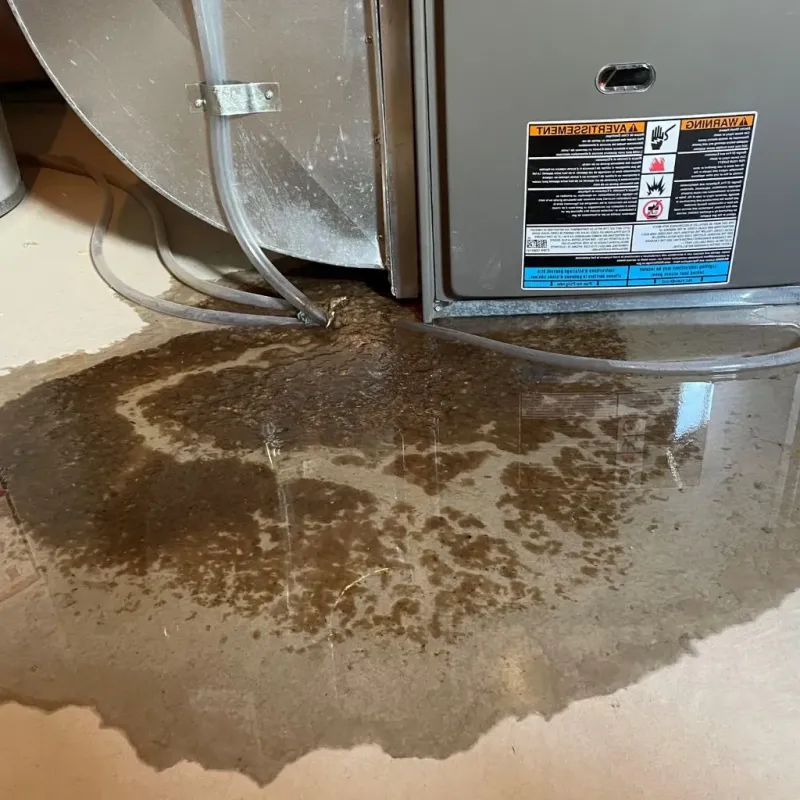 Pipe Burst and Leak Restoration in Sheridan County, KS