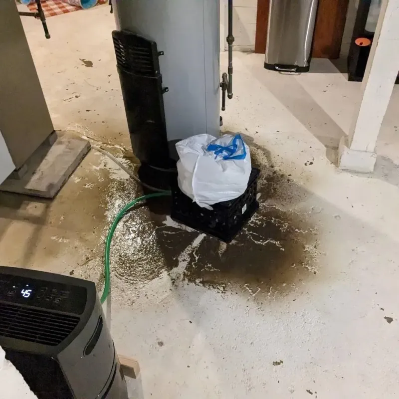 Sewage Backup Cleanup Service in Sheridan County, KS